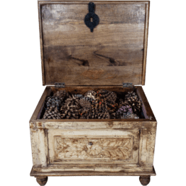 1FUNCARCHE196open