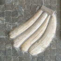 Bananas