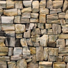 Cladding Petrified Wood
