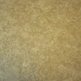 Mountain Savanah Polished