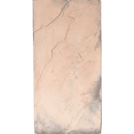 1PAVNORMAL490_1