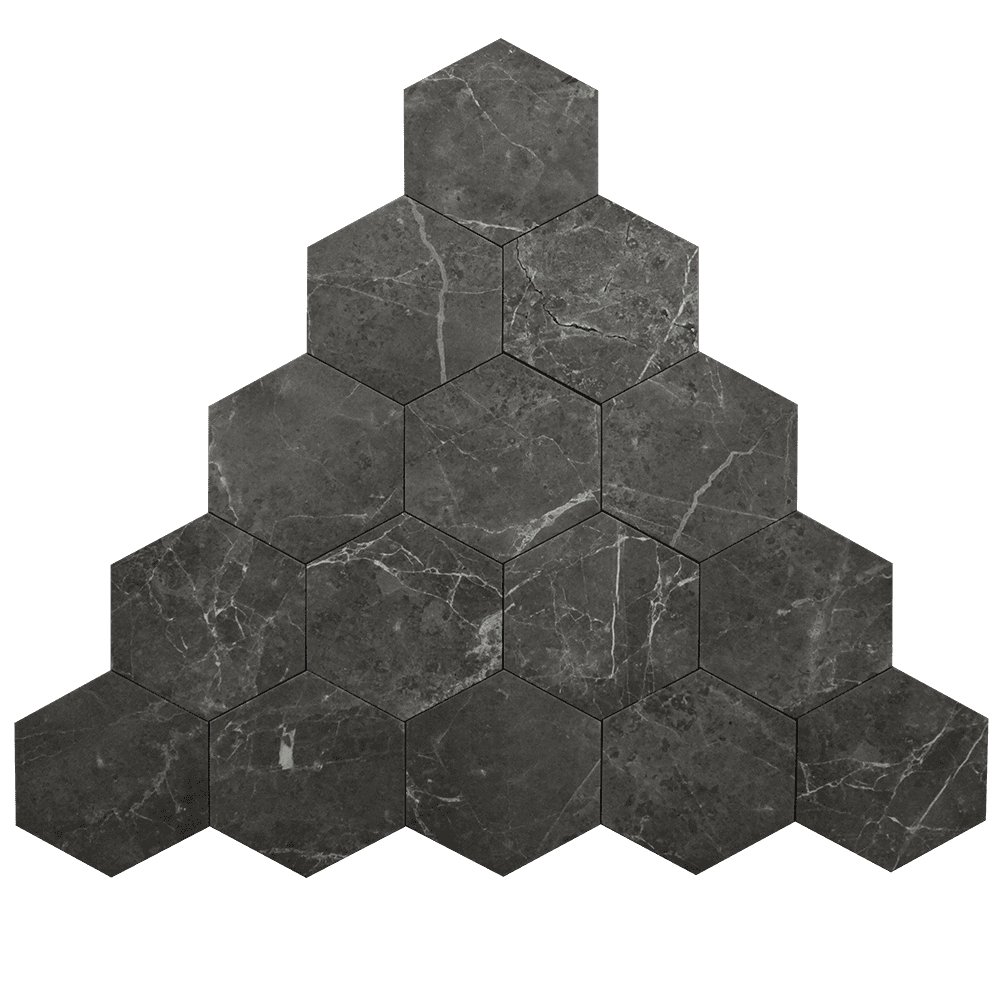 1FAPIMPESA25X21.6