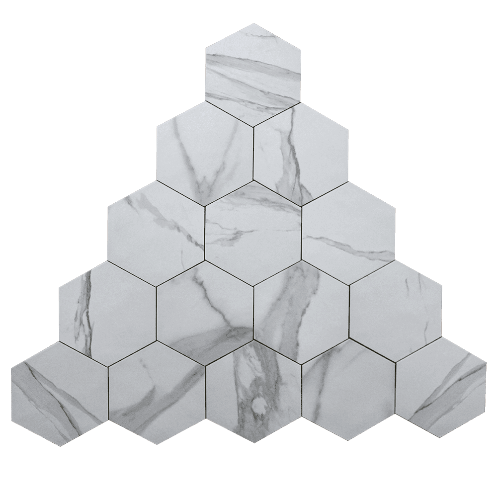 1FAPSTAESA25X21.6