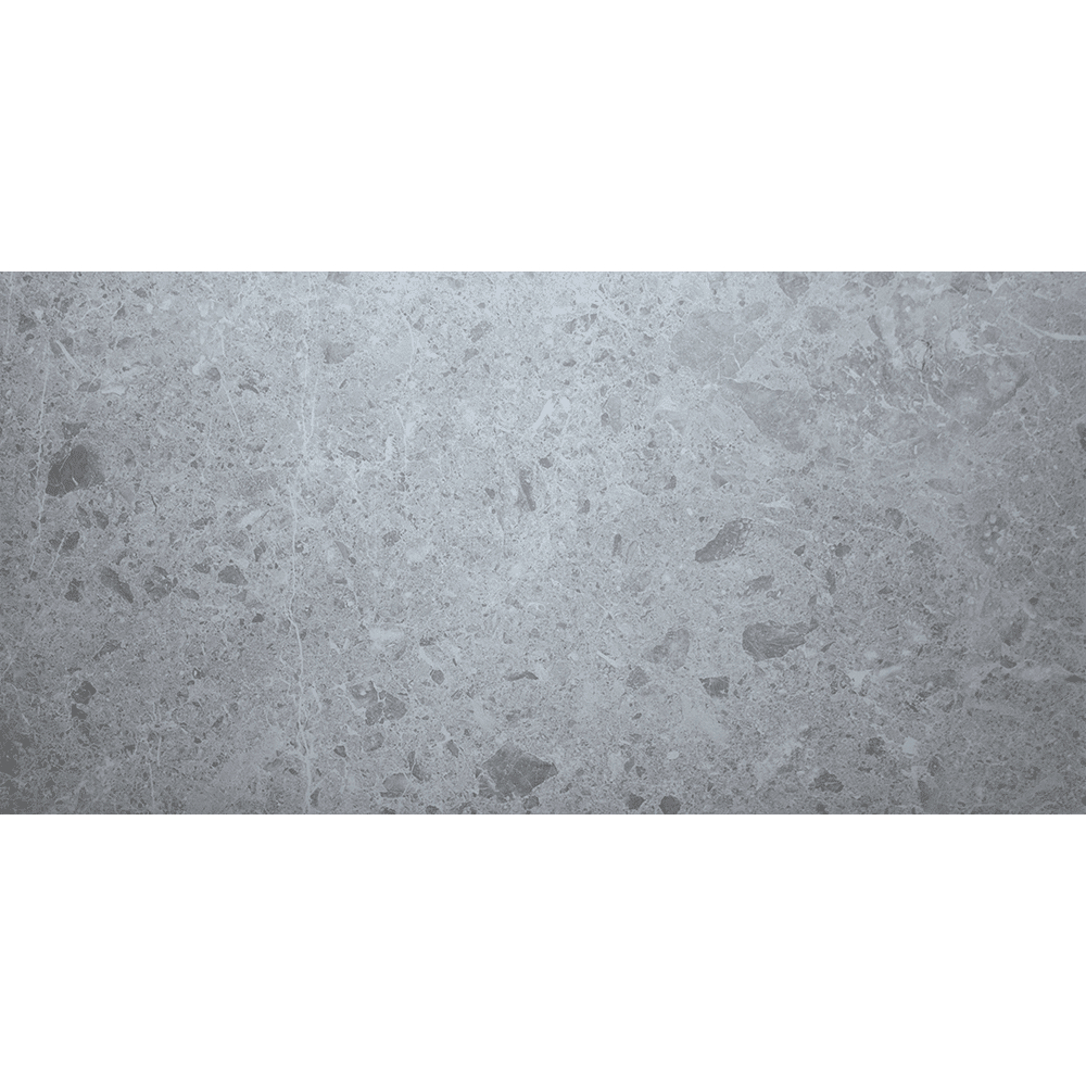 1PAVINPGREPOL60X120_1