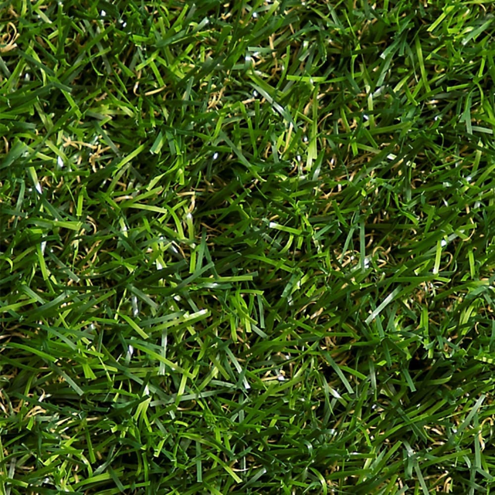 Landscape Grass - Image 9