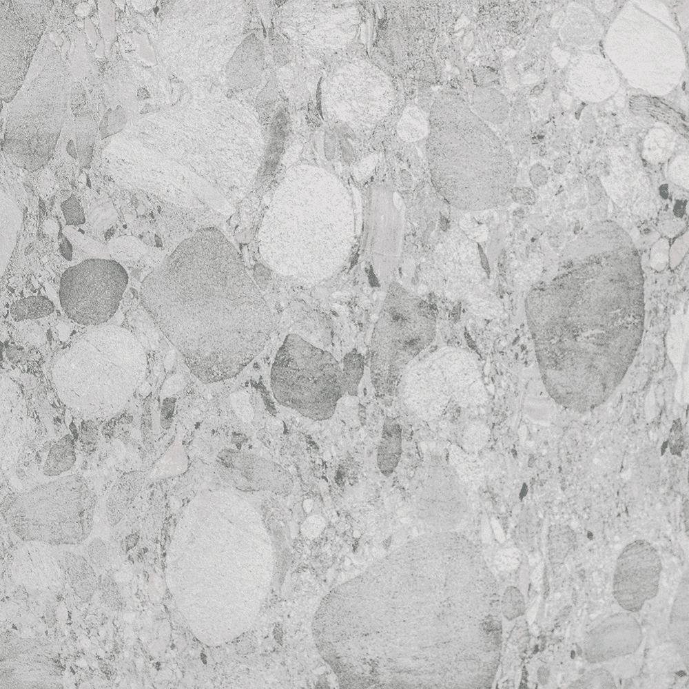 Cosmos-White_1