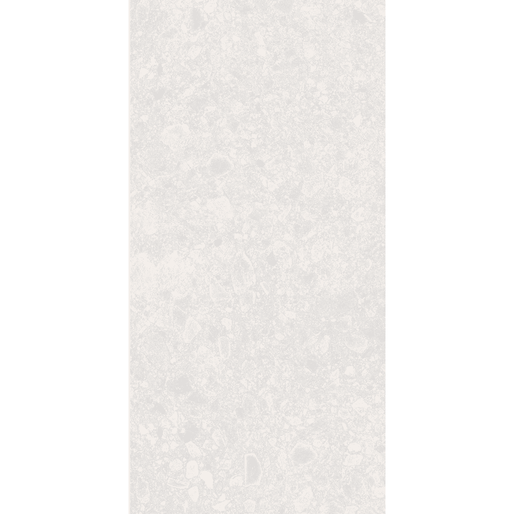 1RAYRGUN50260X120