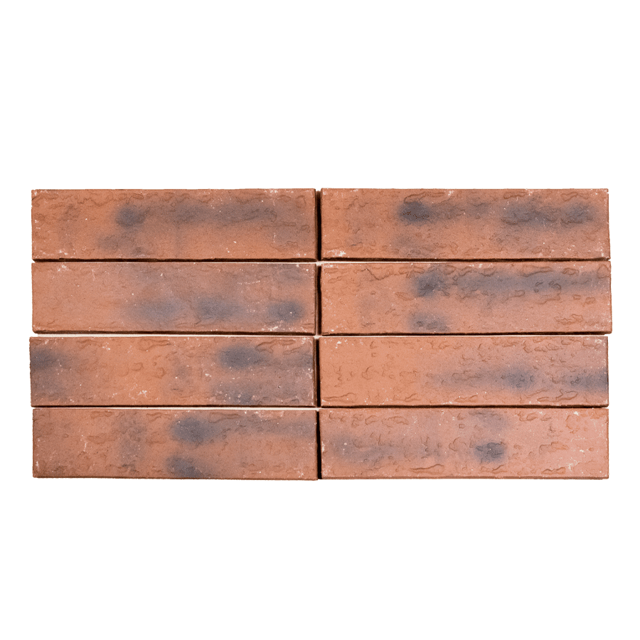 1TERRUS24X6_0167