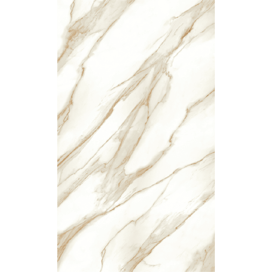1TUS12CALVAGS320X160